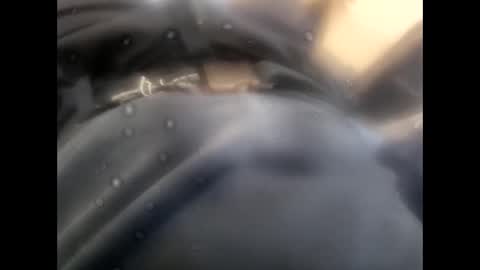 rollino83 online show from 11-09-25, 08:45