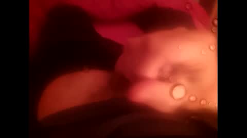 rollino83 online show from 12-17-25, 03:29