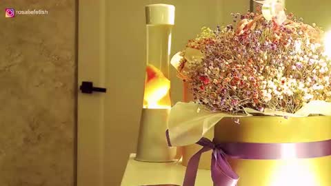 Rosalie online show from 11-16-25, 01:33