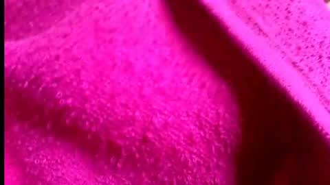 Rosi online show from 07-14-26, 01:41