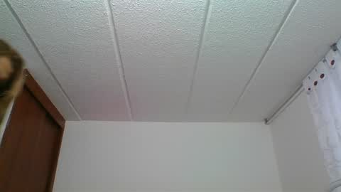 Rossana  online show from 12-30-24, 10:23