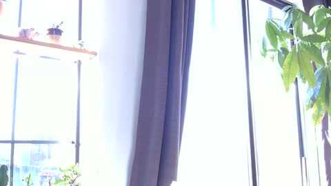 Snapshot of rosscollab chatting on 01-19-26, 01:26 RossCollab online show from 01-19-26, 01:26