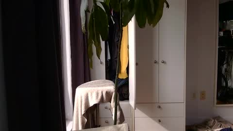 Snapshot of rosscollab chatting on 03-02-26, 03:19 RossCollab online show from 03-02-26, 03:19