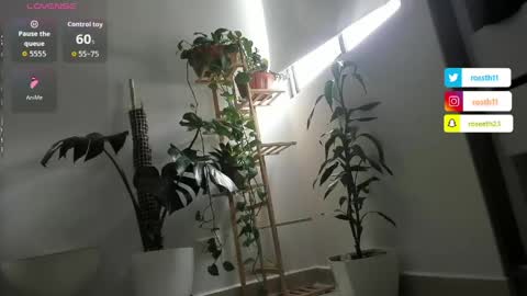 Im Ross   online show from 04-05-26, 05:32