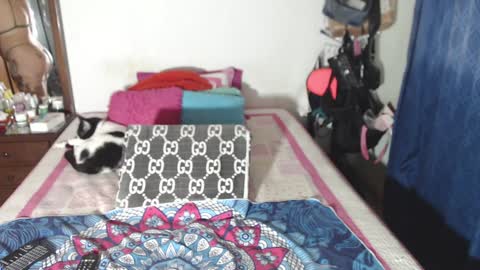 rousse online show from 12-29-24, 02:49