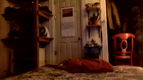 rp131313 online show from 11-15-25, 08:11