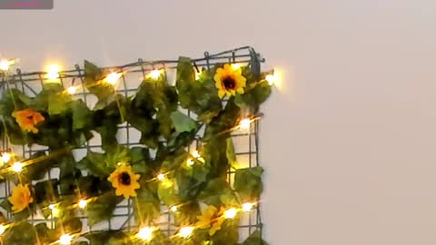 Snapshot of rubby_grace chatting on 02-14-25, 04:37 Rubby grace online show from 02-14-25, 04:37