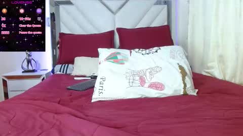 Snapshot of rubymyers chatting on 01-15-26, 02:27 Ruby online show from 01-15-26, 02:27