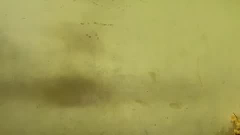 Rupali online show from 12-20-25, 04:19