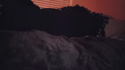 RFC666 online show from 11-06-25, 07:09