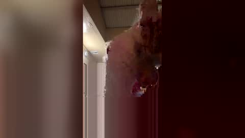 ryder868 online show from 04-17-26, 07:33