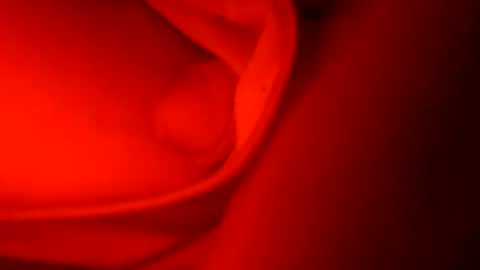 Snapshot of ryucravenmore chatting on 10-05-25, 01:09 ryucravenmore online show from 10-05-25, 01:09