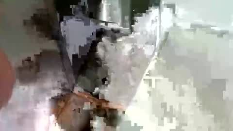 Snapshot of ryucravenmore chatting on 10-14-25, 03:35 ryucravenmore online show from 10-14-25, 03:35