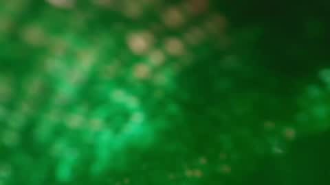 s_sofia_ online show from 01-25-25, 01:21