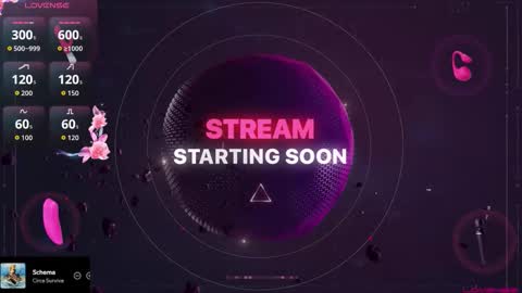 Sadia Sinns online show from 01-17-26, 04:17