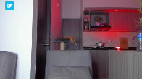 Snapshot of sag_1998 chatting on 01-03-25, 12:54 Sag online show from 01-03-25, 12:54