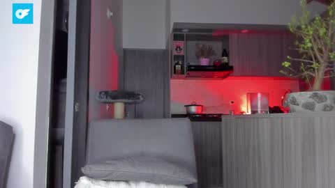 Snapshot of sag_1998 chatting on 01-18-25, 09:56 Sag online show from 01-18-25, 09:56