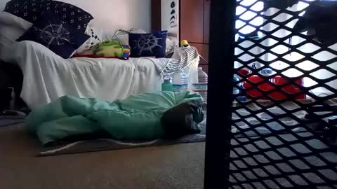 Snapshot of salis1981 chatting on 02-07-25, 12:31 salis1981 online show from 02-07-25, 12:31