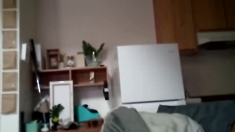 salis1981 online show from 11-12-25, 06:08