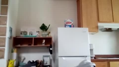 salis1981 online show from 02-09-26, 08:46