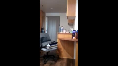 salis1981 online show from 04-16-26, 06:09