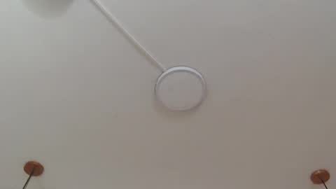 salome_daniel online show from 10-25-25, 08:58