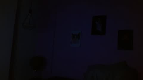 salome ferrari online show from 03-08-26, 02:04