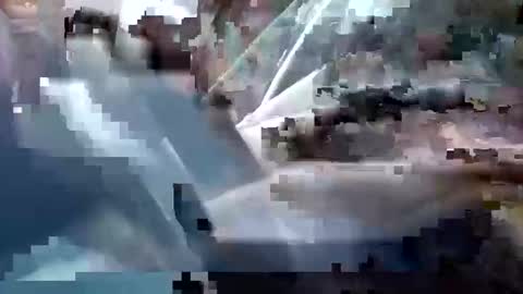 Snapshot of sam223382879 chatting on 12-25-24, 03:28 sam223382879 online show from 12-25-24, 03:28