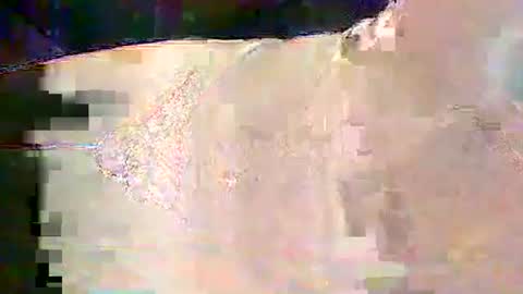 sam5554401727 online show from 02-25-26, 06:28