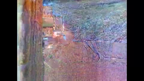 sam5554401727 online show from 04-26-26, 08:28