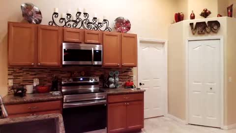 sam_papithebarber online show from 11-15-25, 09:28