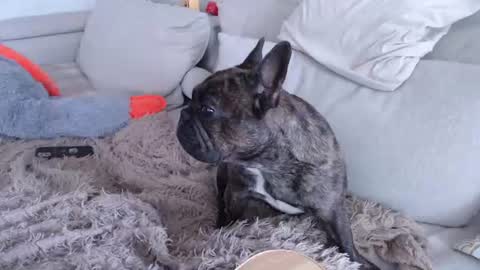 sam_skywalker online show from 07-20-26, 10:39