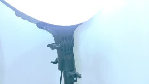   online show from 11-17-25, 12:00