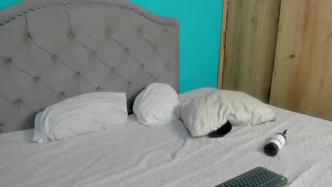 Snapshot of sammy_and_mike_ls chatting on 01-31-25, 02:58 Sophie y Mark online show from 01-31-25, 02:58