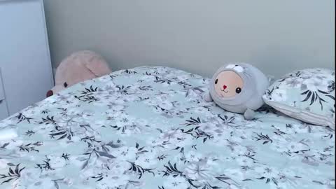  Sammyboom  online show from 11-02-25, 07:49