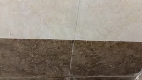 Snapshot of samnivin chatting on 11-01-25, 05:04 samnivin online show from 11-01-25, 05:04