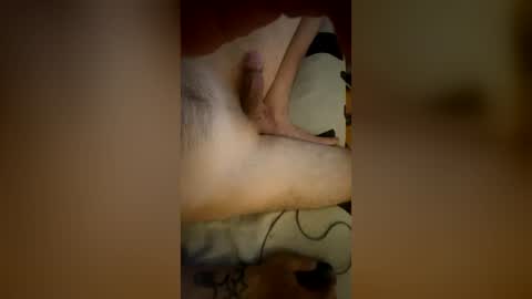 samourais online show from 07-19-26, 12:58