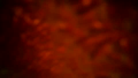 samueltal online show from 09-16-25, 12:11