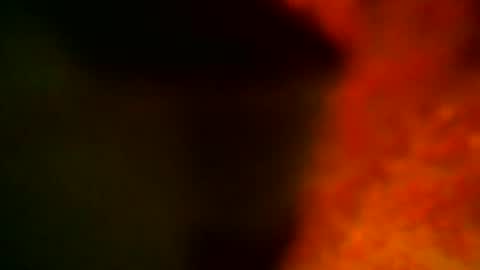 samueltal online show from 10-14-25, 09:15