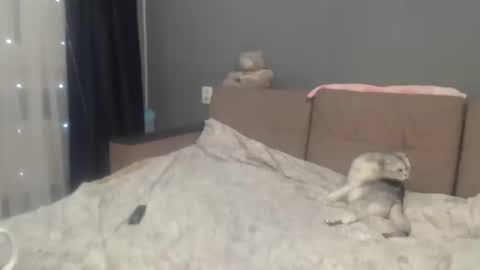 Snapshot of sandra_smith3007 chatting on 02-06-26, 07:06 sandra_smith3007 online show from 02-06-26, 07:06