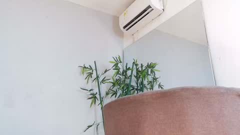 SAM  online show from 04-25-26, 01:41