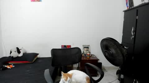 Julius Novachrono  online show from 07-17-26, 06:09