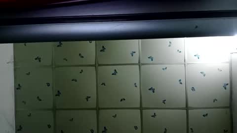 Snapshot of santichai561323 chatting on 02-19-25, 02:01 santichai561323 online show from 02-19-25, 02:01