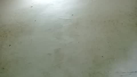 Snapshot of santichai561323 chatting on 02-24-25, 02:51 santichai561323 online show from 02-24-25, 02:51