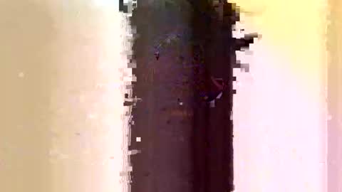 Sara online show from 06-07-26, 03:10