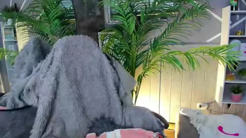 sofia gomez420 online show from 12-31-24, 09:42