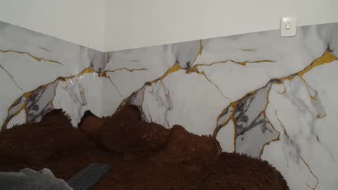 sara and thomas online show from 11-26-25, 12:00