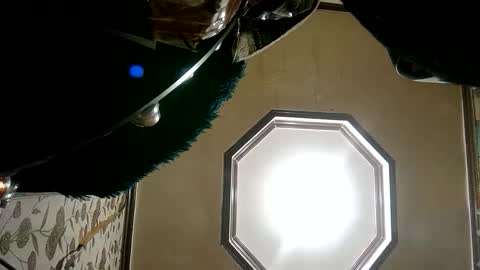 Princess online show from 01-25-25, 04:35