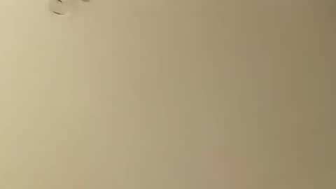 Snapshot of saucybear666 chatting on 01-26-25, 05:13 SnowBunny online show from 01-26-25, 05:13