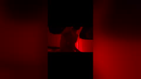 Snapshot of sbsesh chatting on 02-14-26, 12:02 sbsesh online show from 02-14-26, 12:02